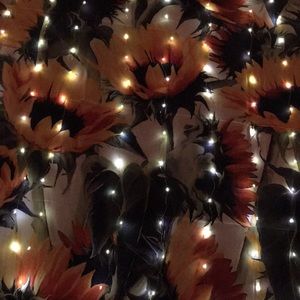 Meet your Posher, Yee